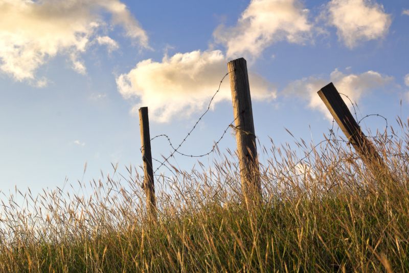 Cyclone Fence Repair detail